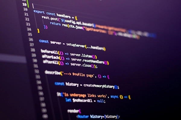 FrontEnd Developer